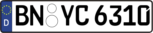 BN-YC6310