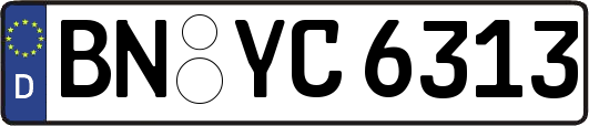 BN-YC6313