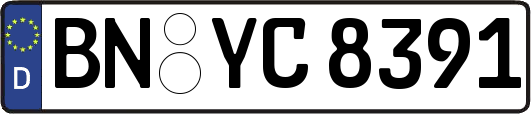 BN-YC8391