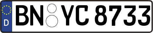BN-YC8733