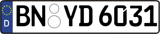 BN-YD6031