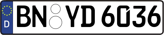 BN-YD6036