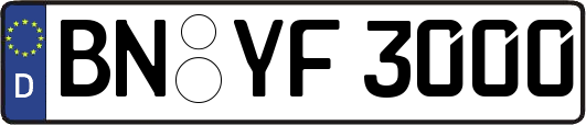 BN-YF3000