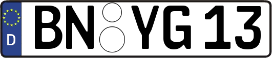 BN-YG13