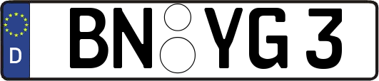 BN-YG3