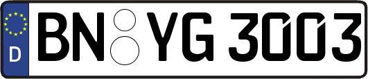 BN-YG3003