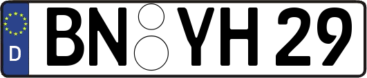 BN-YH29