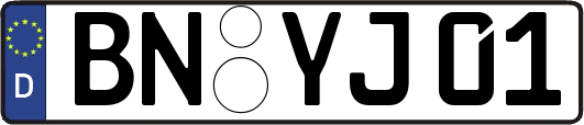 BN-YJ01