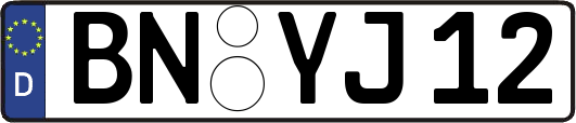BN-YJ12