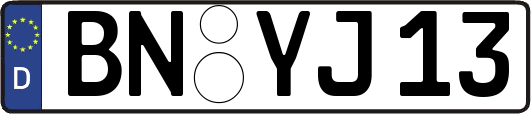 BN-YJ13