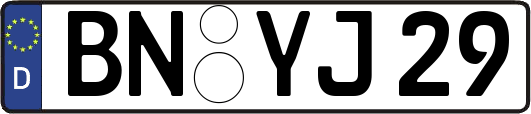 BN-YJ29