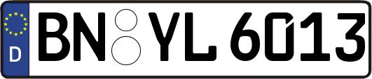 BN-YL6013