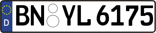 BN-YL6175