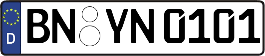 BN-YN0101