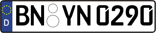 BN-YN0290