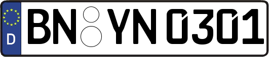 BN-YN0301