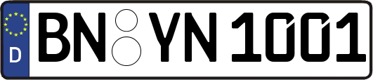 BN-YN1001