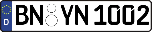 BN-YN1002