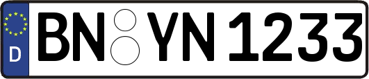 BN-YN1233