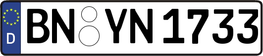 BN-YN1733