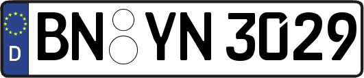 BN-YN3029