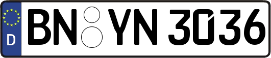 BN-YN3036