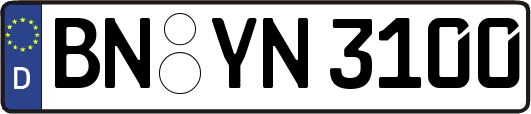 BN-YN3100