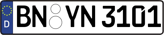 BN-YN3101