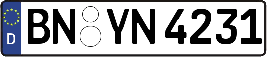 BN-YN4231