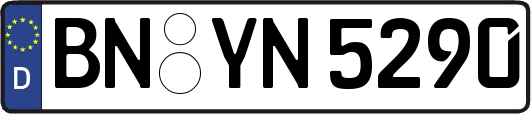 BN-YN5290