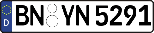 BN-YN5291