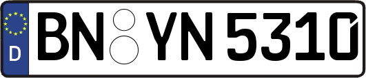 BN-YN5310