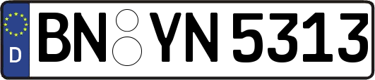 BN-YN5313