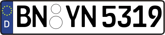 BN-YN5319