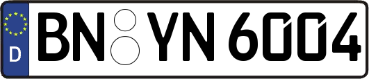 BN-YN6004