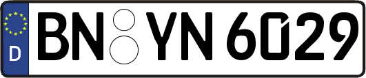 BN-YN6029