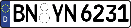 BN-YN6231