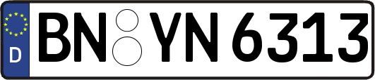 BN-YN6313