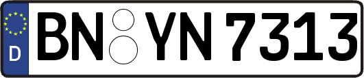BN-YN7313