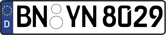 BN-YN8029