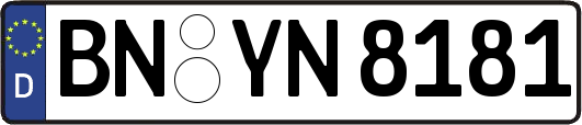 BN-YN8181