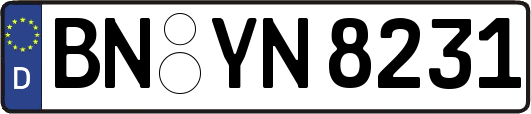 BN-YN8231