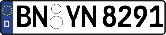 BN-YN8291