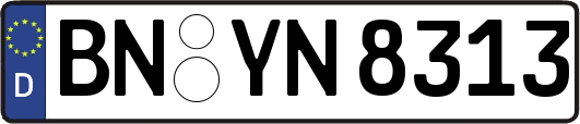 BN-YN8313