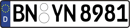 BN-YN8981