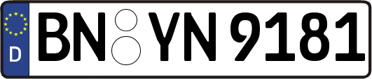 BN-YN9181
