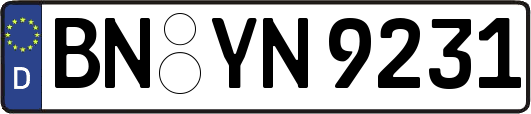 BN-YN9231