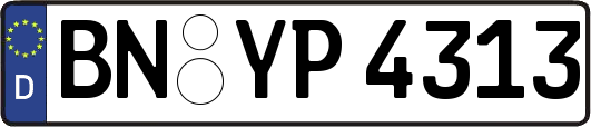 BN-YP4313