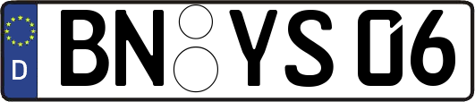 BN-YS06