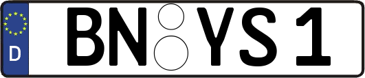 BN-YS1